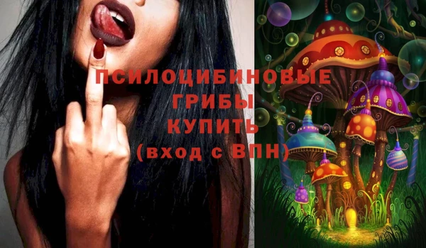 дживик Семикаракорск